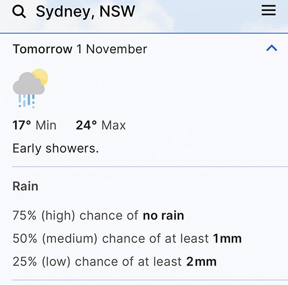 rain forecast screenshot